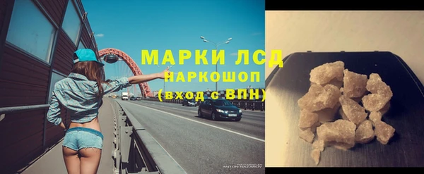 ПСИЛОЦИБИНОВЫЕ ГРИБЫ Горняк