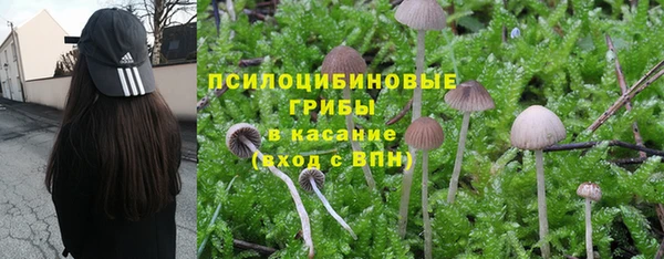 герыч Надым