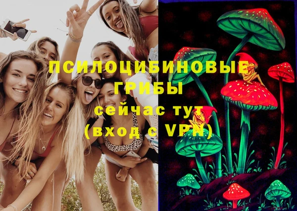 гидропоника Горнозаводск