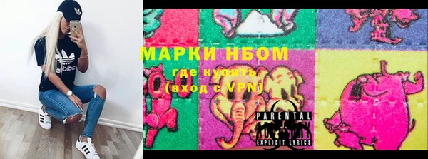 ПСИЛОЦИБИНОВЫЕ ГРИБЫ Горно-Алтайск