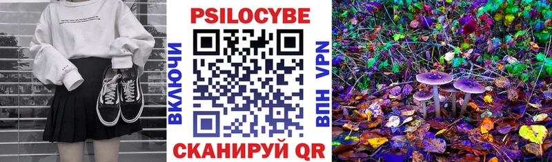 omg зеркало  Чудово  Галлюциногенные грибы прущие грибы 